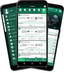 Découvrez Betwinner APK  Votre porte d'entrée vers les paris sportifs