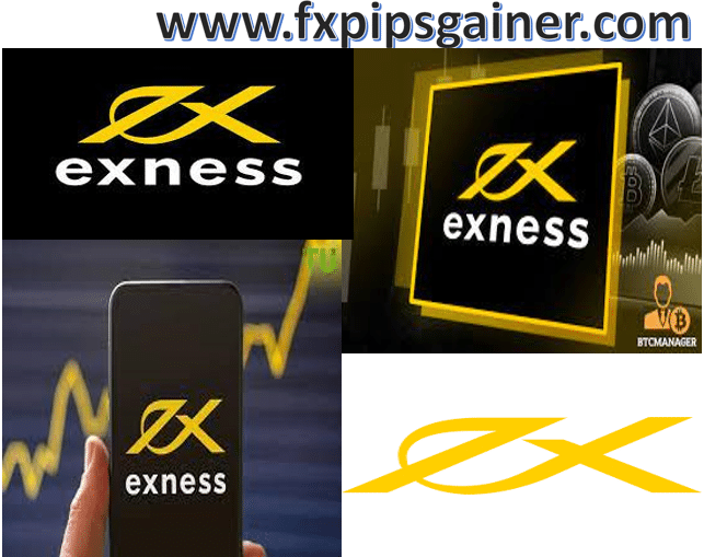 Comprehensive Guide to Exness Vietnam Trading Opportunities and Insights