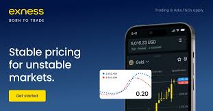 Discover the Power of Exness MT5 Web Terminal Discover the Power of Exness MT5 Web Terminal